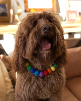Rainbow Connection